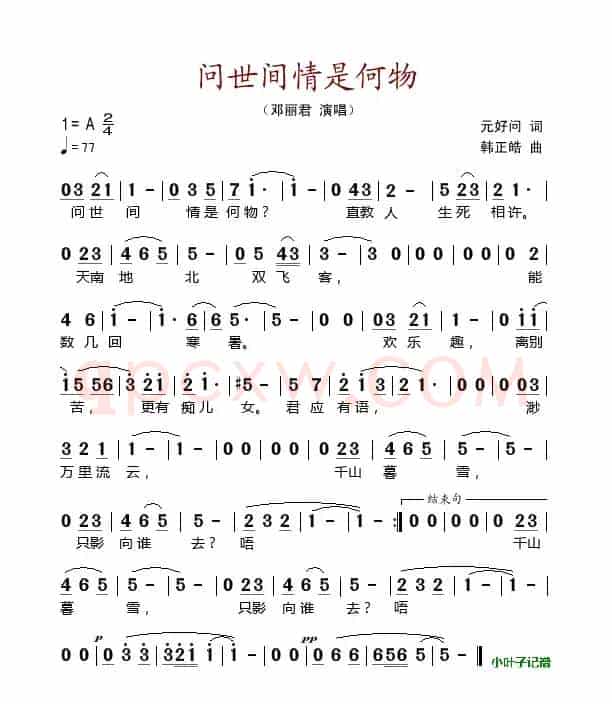 问世间情是何物