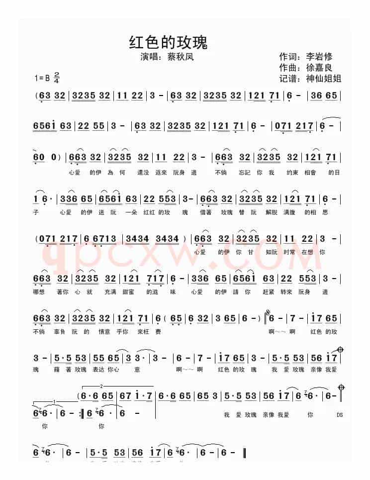 红色的玫瑰（闽南语演唱）