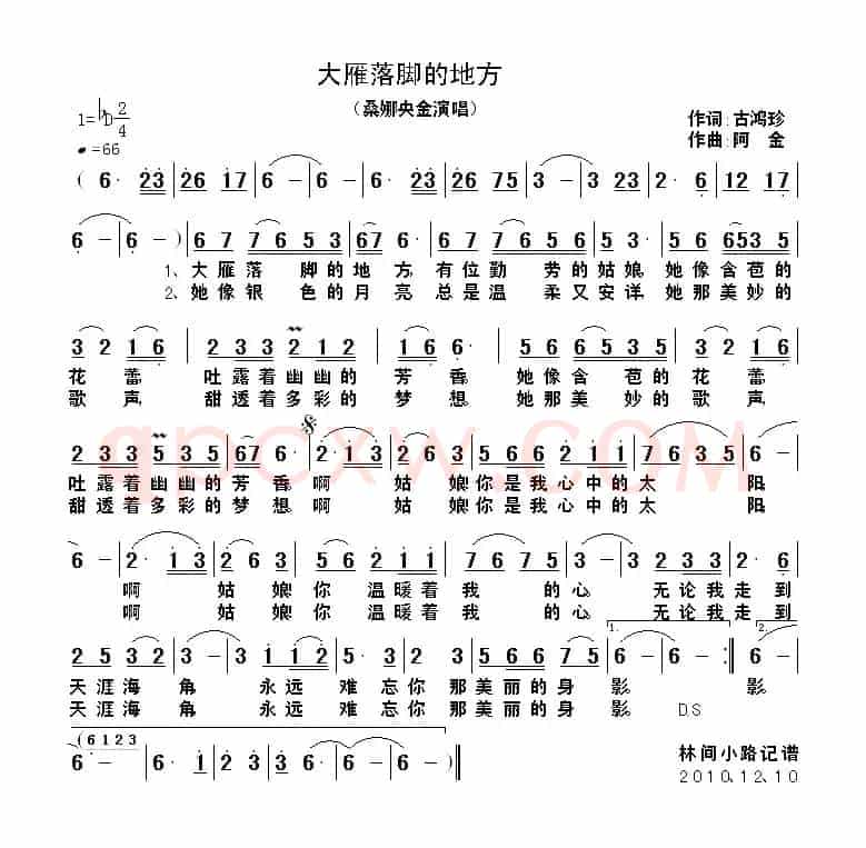 大雁落脚的地方