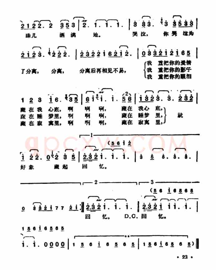 泪的小雨