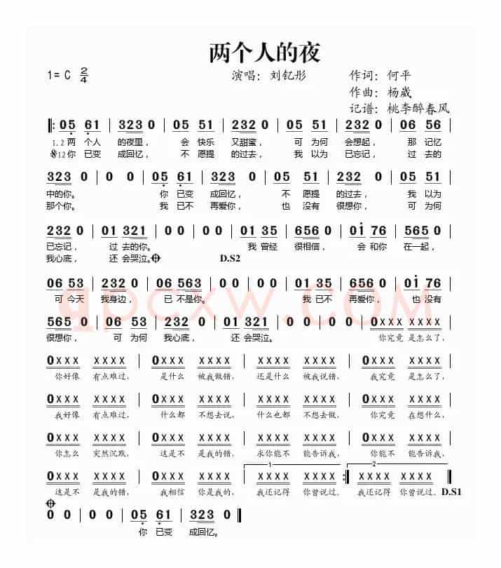 两个人的夜