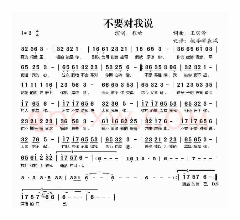 不要对我说（王羽泽 词曲）