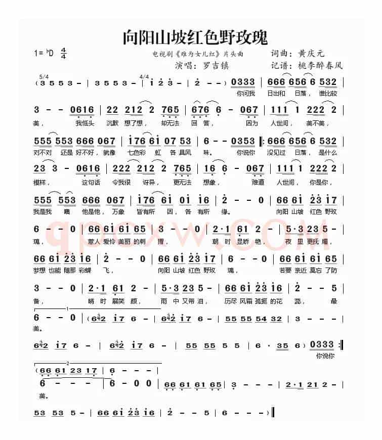 向阳山坡红色野玫瑰（电视剧《难为女儿红》片头曲 ）