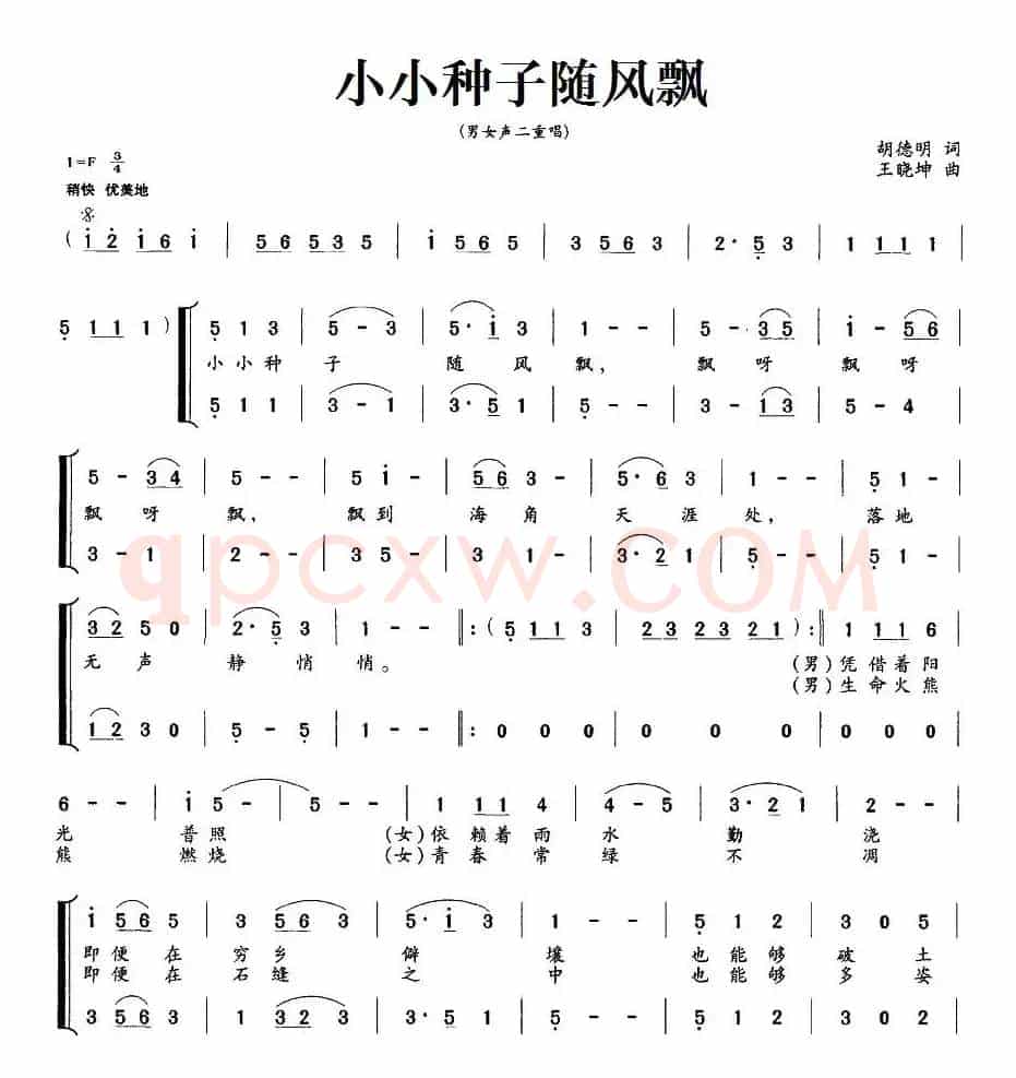 小小种子随风飘