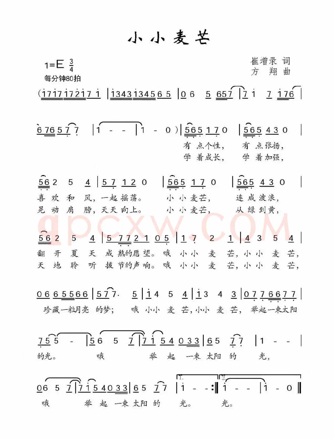 小小麦芒