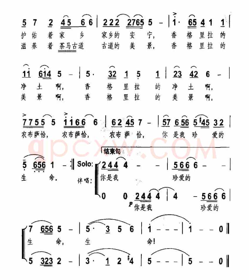 农布萨恰