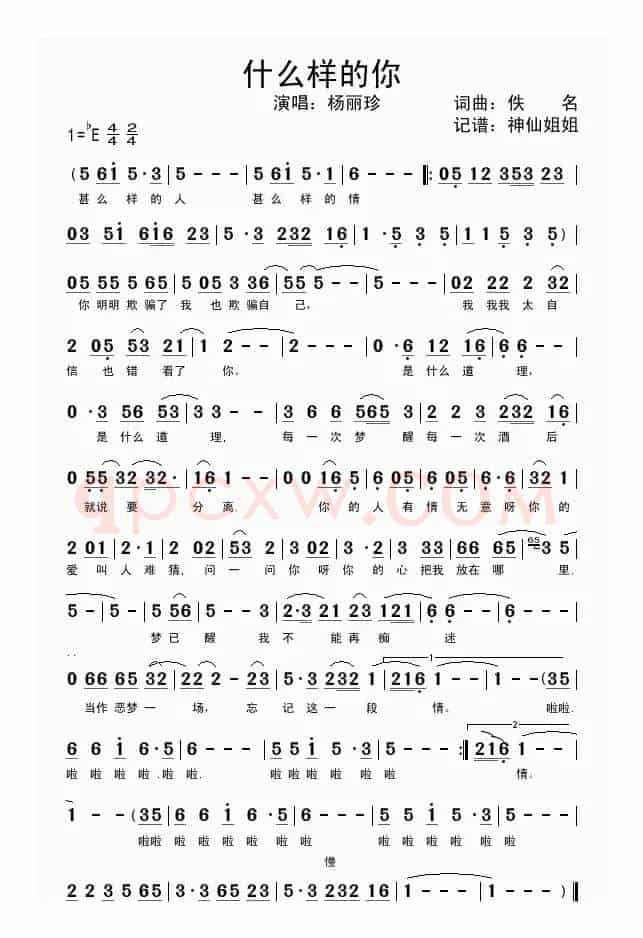 什么样的你（杨丽珍演唱版）