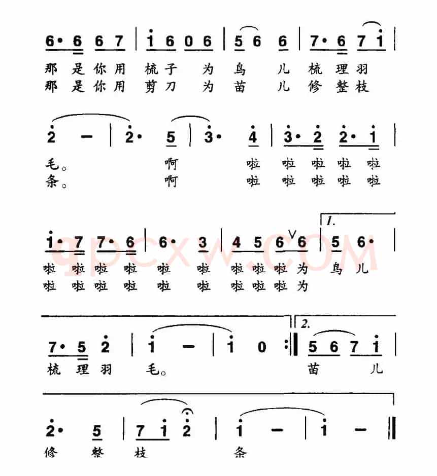 老师的红笔