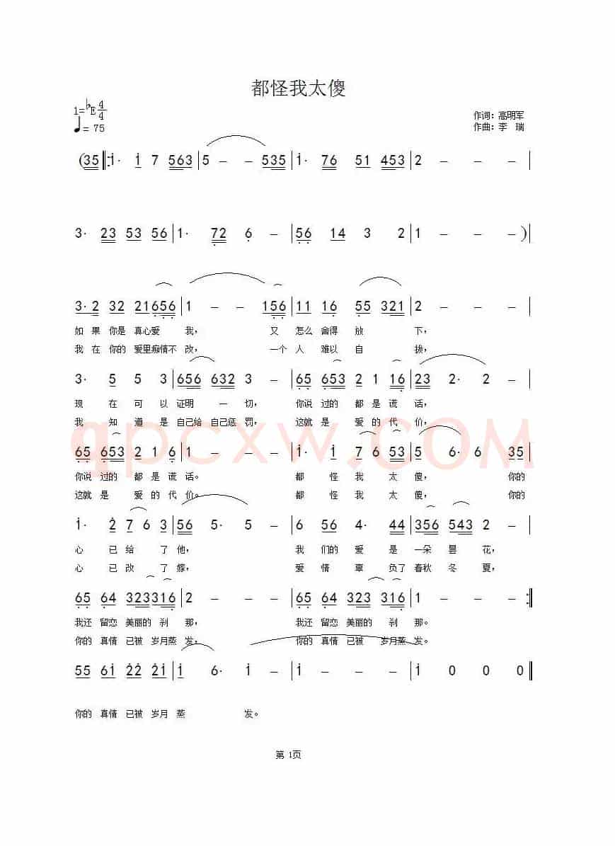 都怪我太傻
