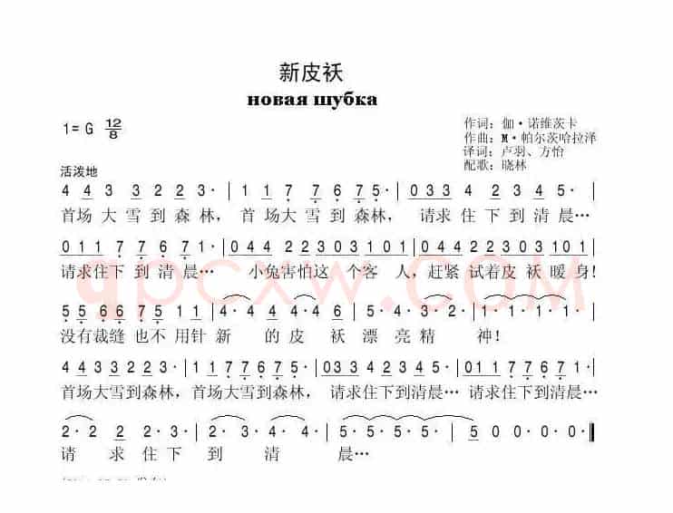 新皮袄（俄）