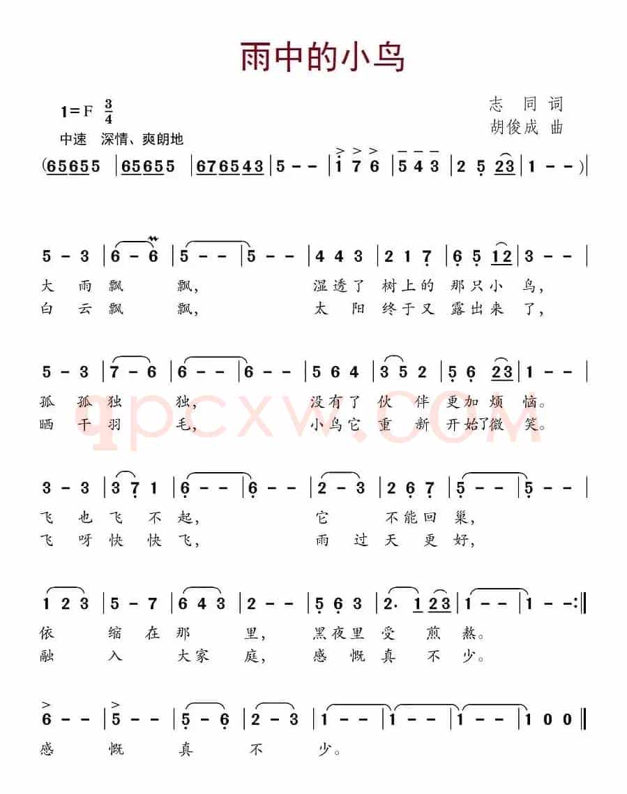 雨中的小鸟（志同词 胡俊成曲）