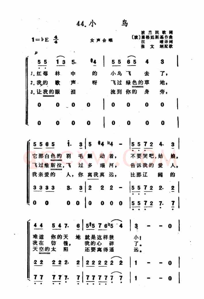 [波]小鸟（合唱 波兰民歌）