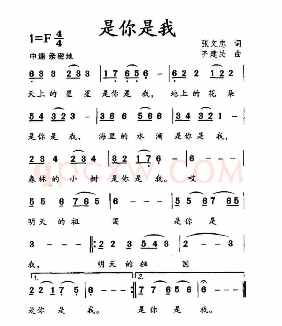 是你是我（张文忠词 齐建民曲）