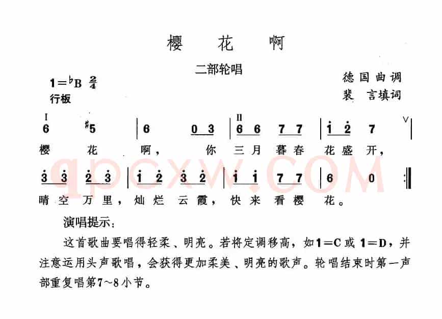 樱花啊