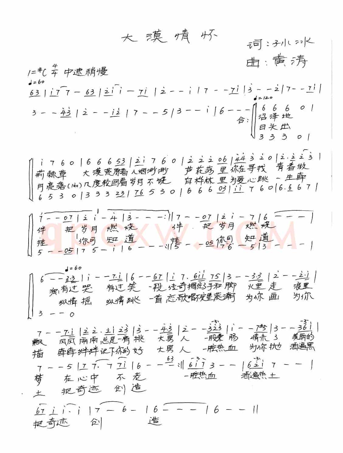 大漠情怀