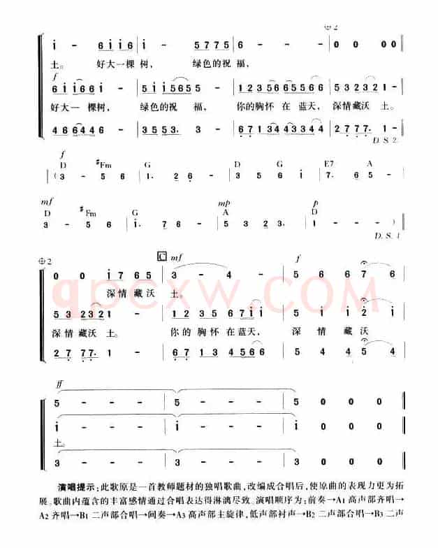 好大一棵树