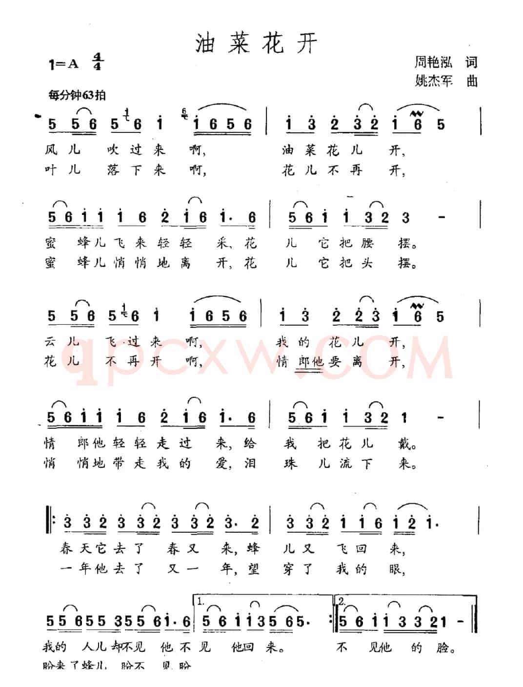 油菜花开（周艳泓词 姚杰军曲）