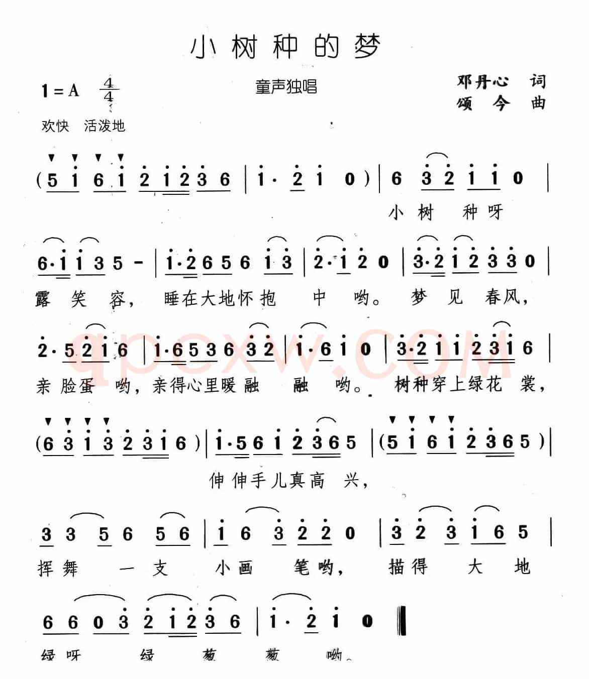 小树种的梦