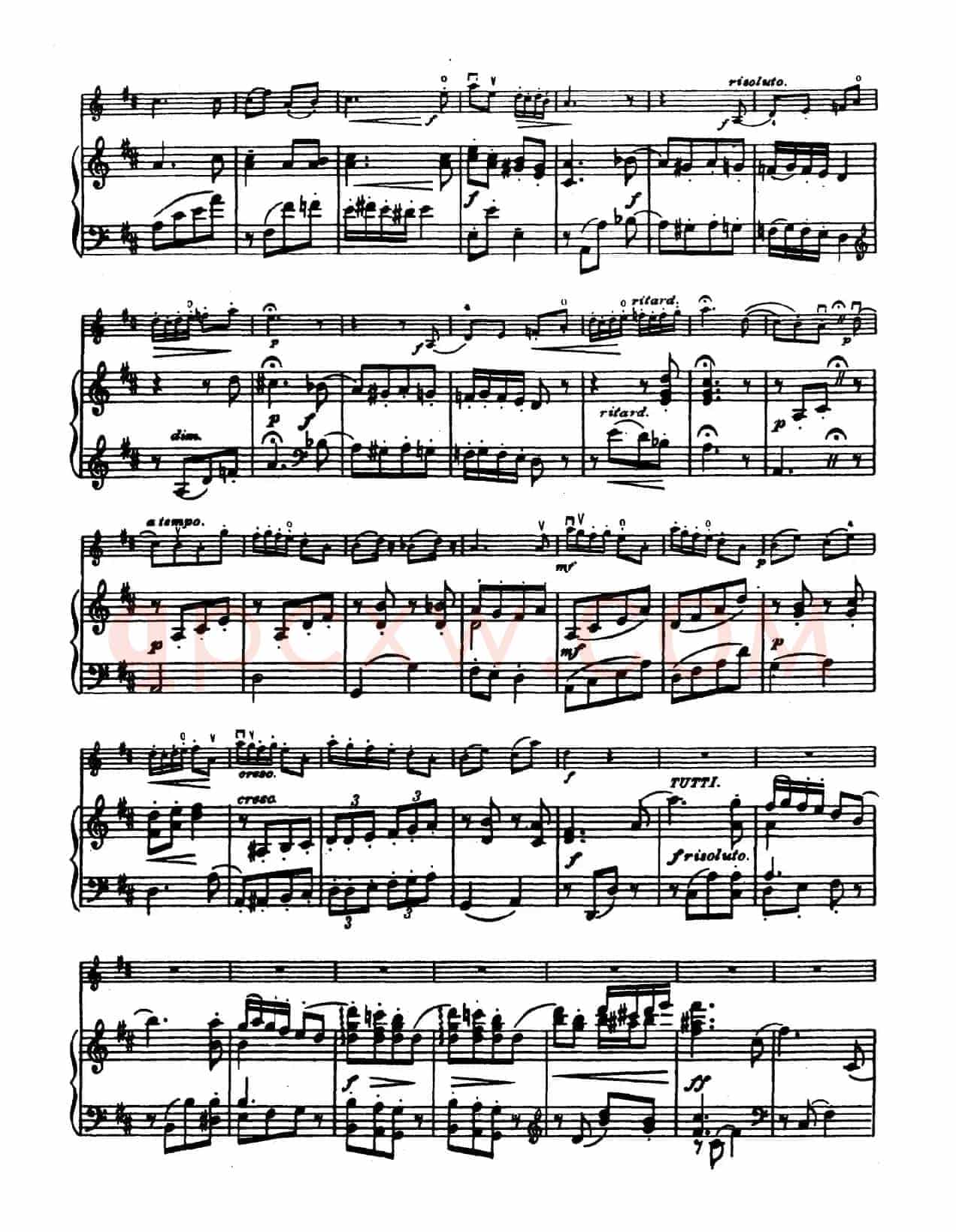 D大调学生协奏曲（塞茨作品第14号）