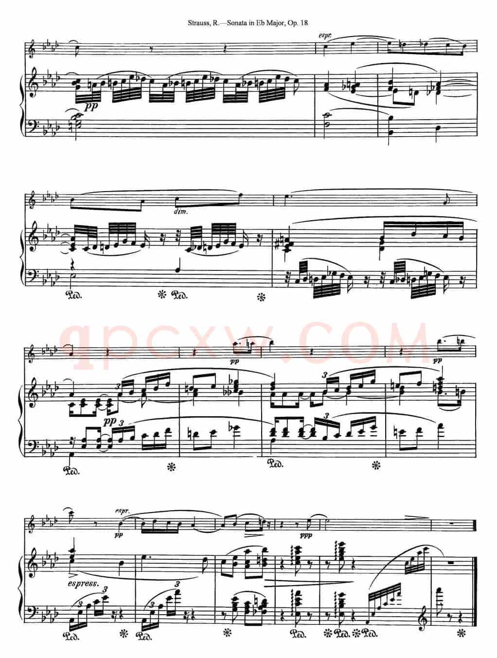 Violin Sonata in Eb Major Op.18（小提琴+钢琴伴奏）