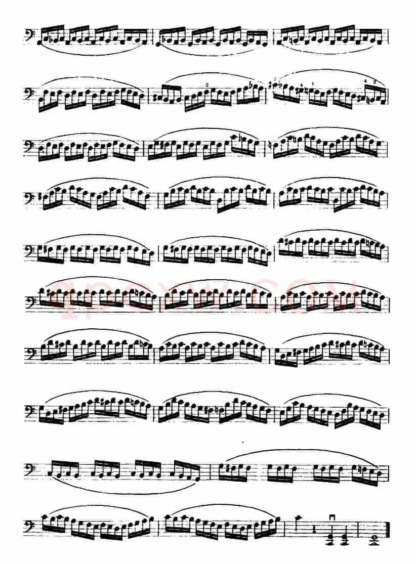 大提琴练习曲：大把位（22—33）