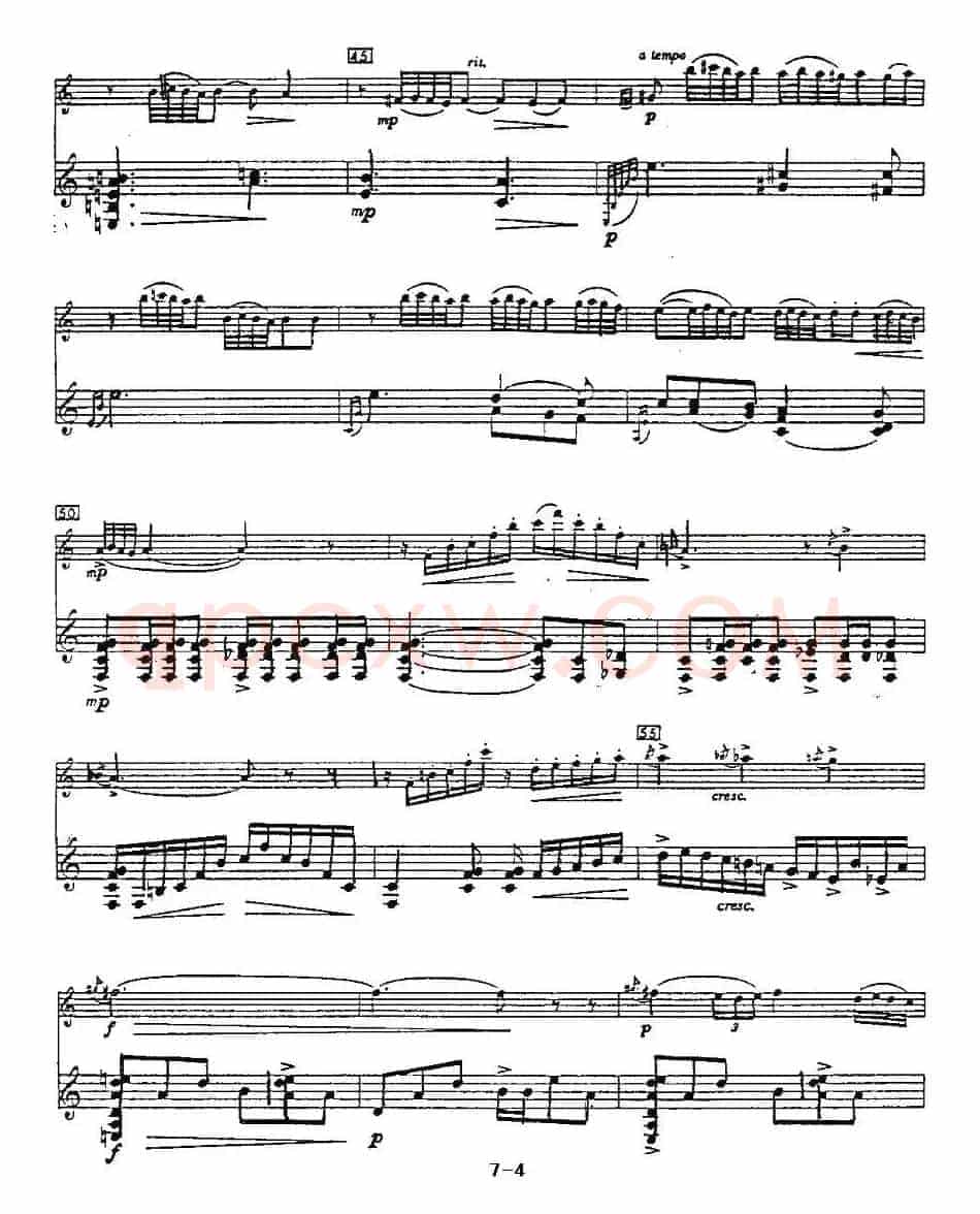 Cantos sierras（山脉之歌）（长笛+吉他）