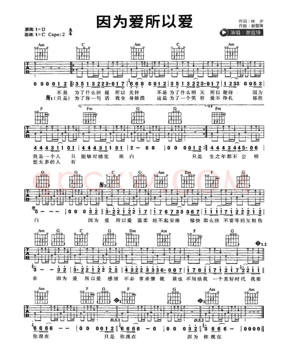 因为爱所以爱