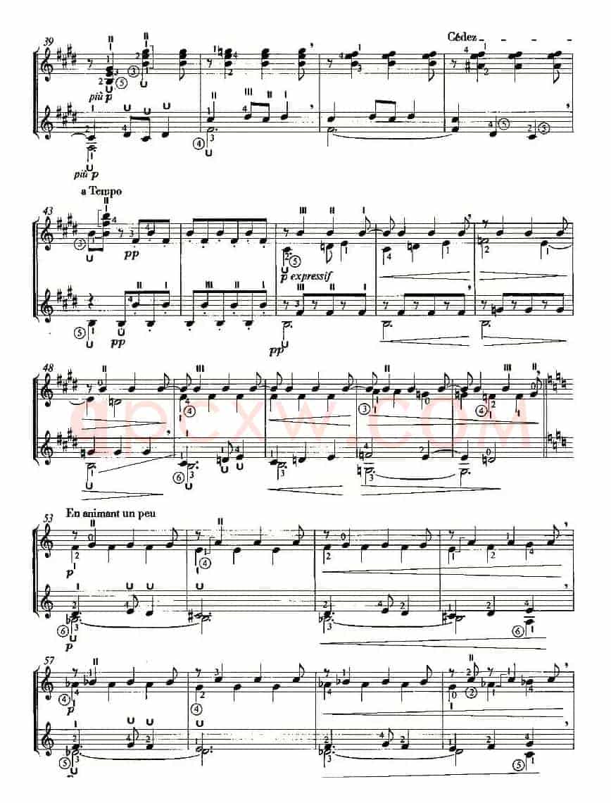 SERENADE OF THE DOLL（双吉他）