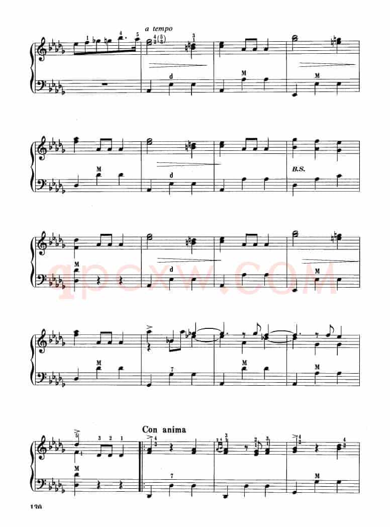 华丽大圆舞曲