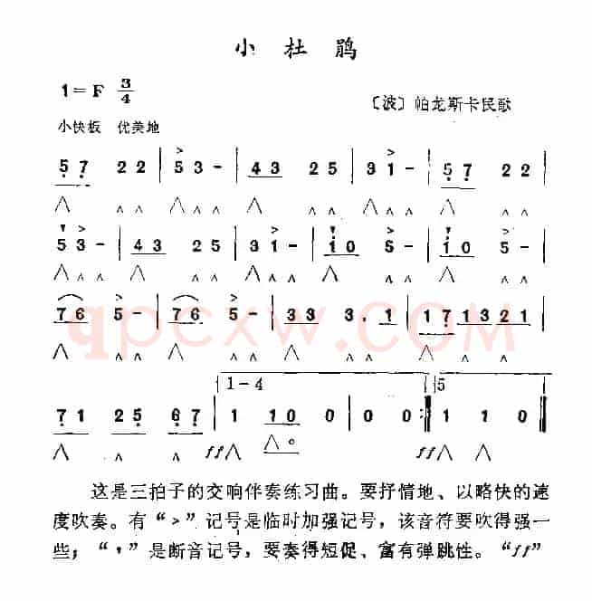 小杜鹃
