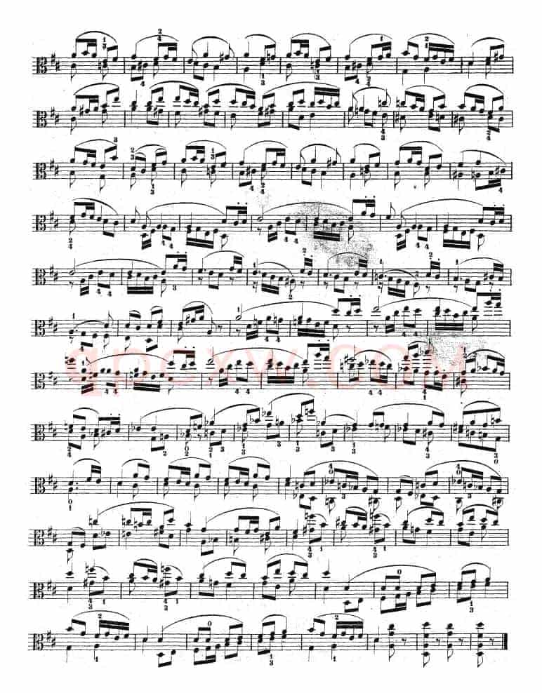 克莱采尔《中提琴练习曲40首》（ETUDE 36-38）
