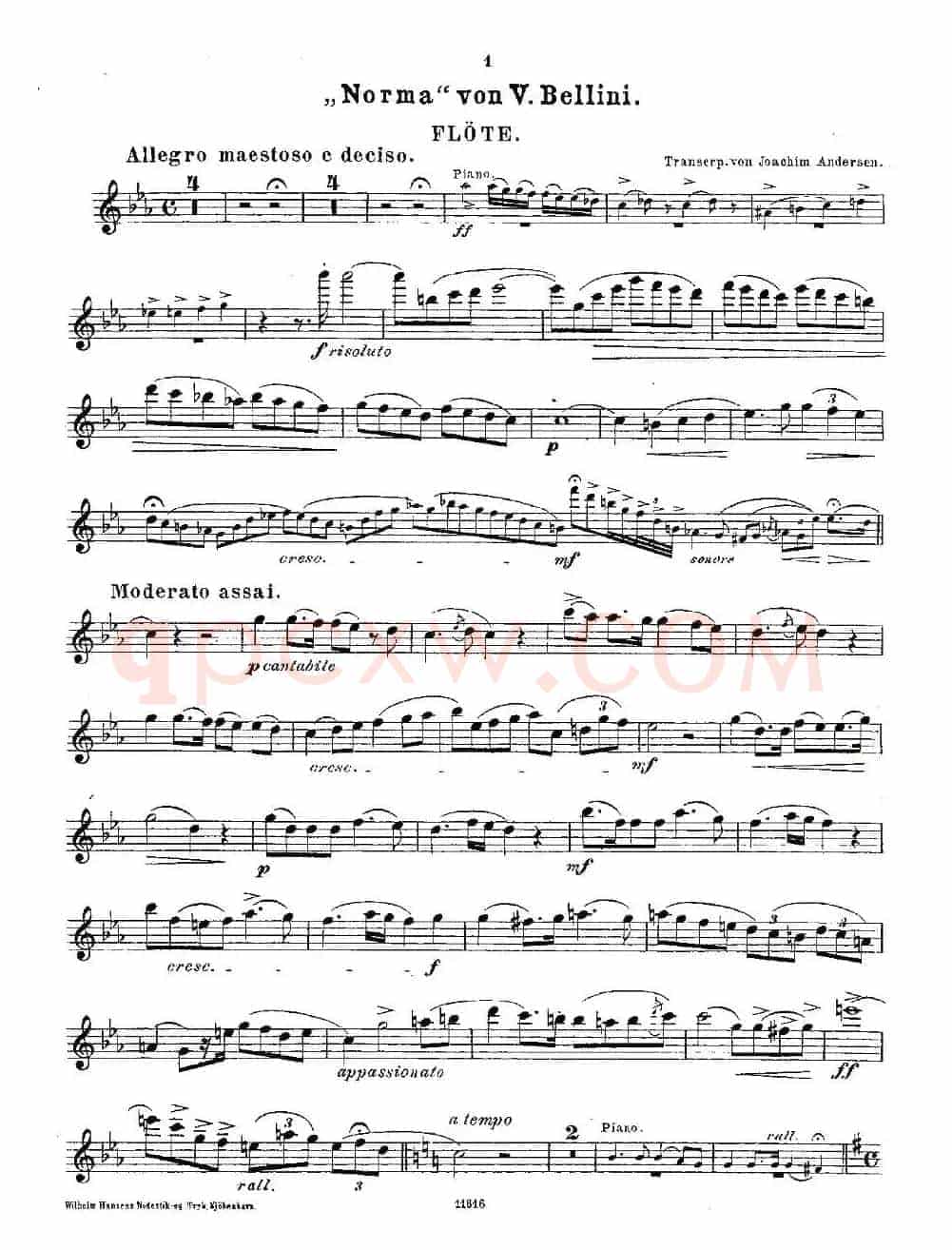 Opern-Transcriptionen.Op.45-2（长笛+钢琴伴奏）