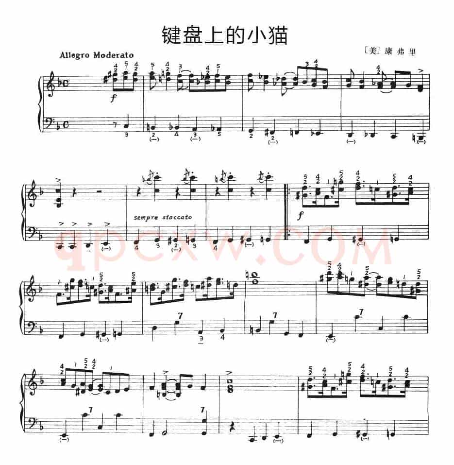 键盘上小猫