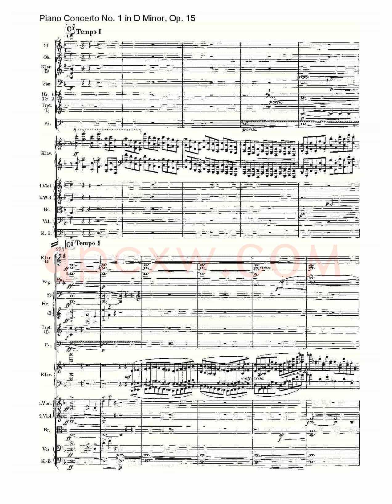 D小调钢琴第一协奏曲, Op.15第一乐章(一)