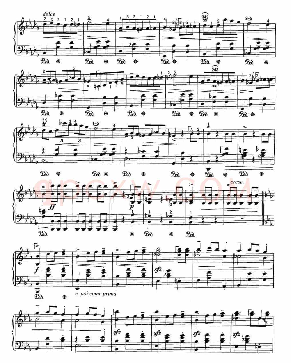 辉煌的大圆舞曲
