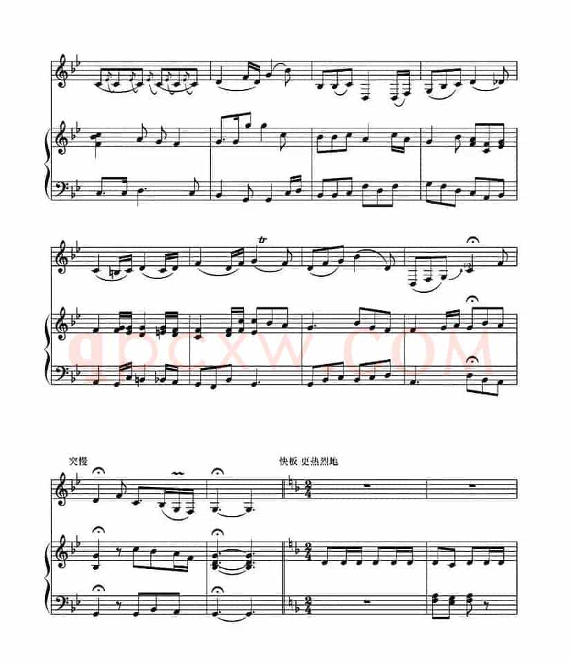 萨尔图畅想曲（二胡独奏+钢琴伴奏）
