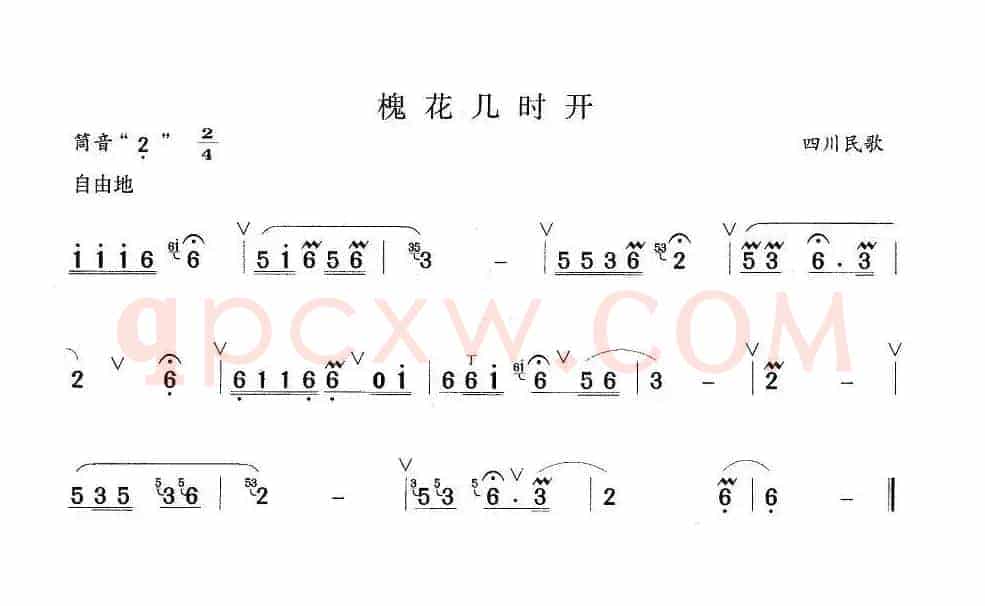 槐花几时开