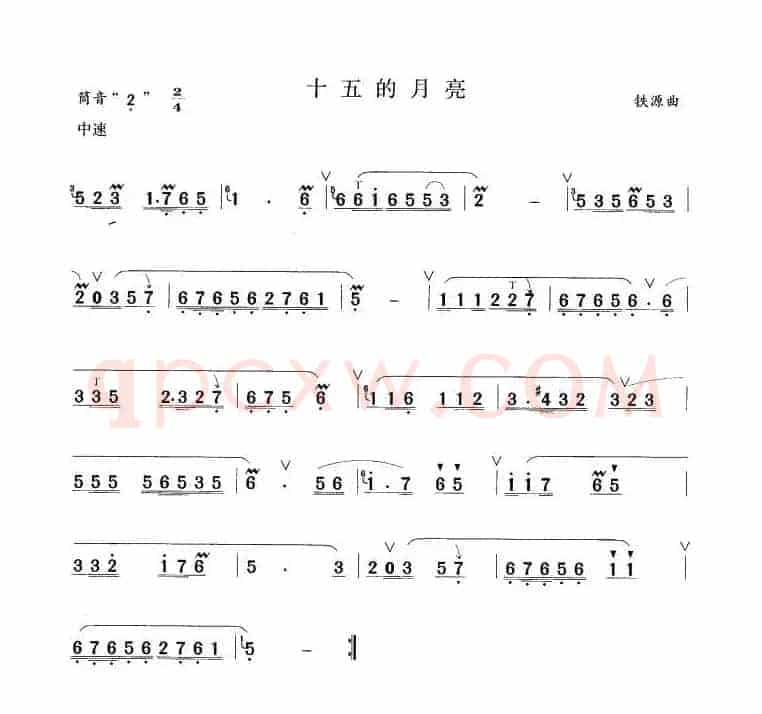 十五的月亮