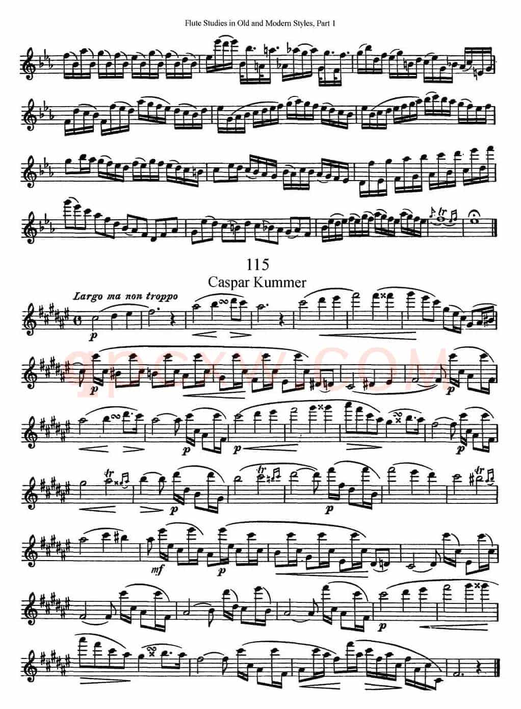 斯勒新老风格长笛练习重奏曲（第一部分）（NO.113-NO.115）