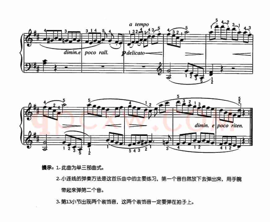 娇嫩的花
