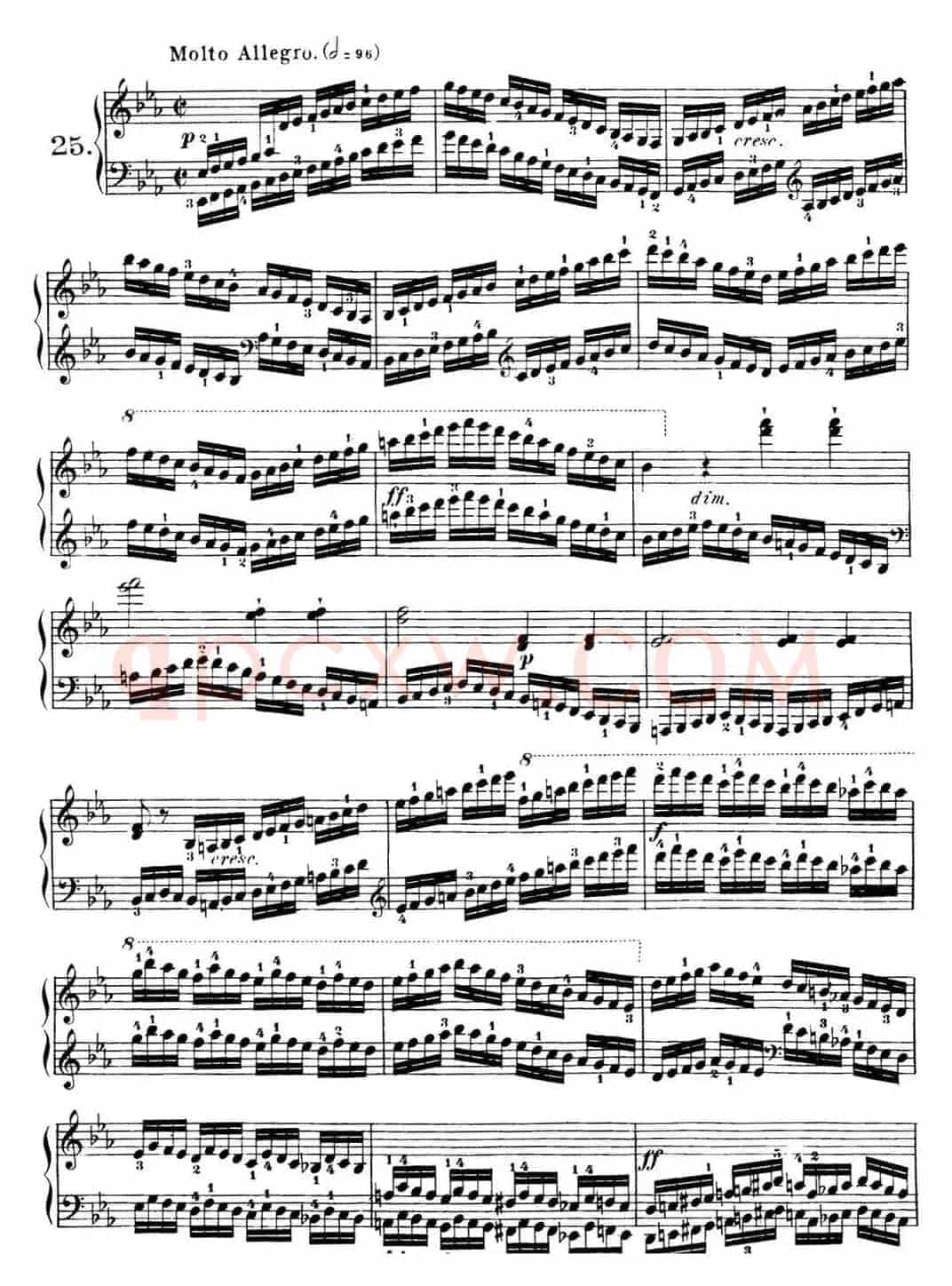 40首车尔尼Op.299钢琴快速练习曲（NO.25）