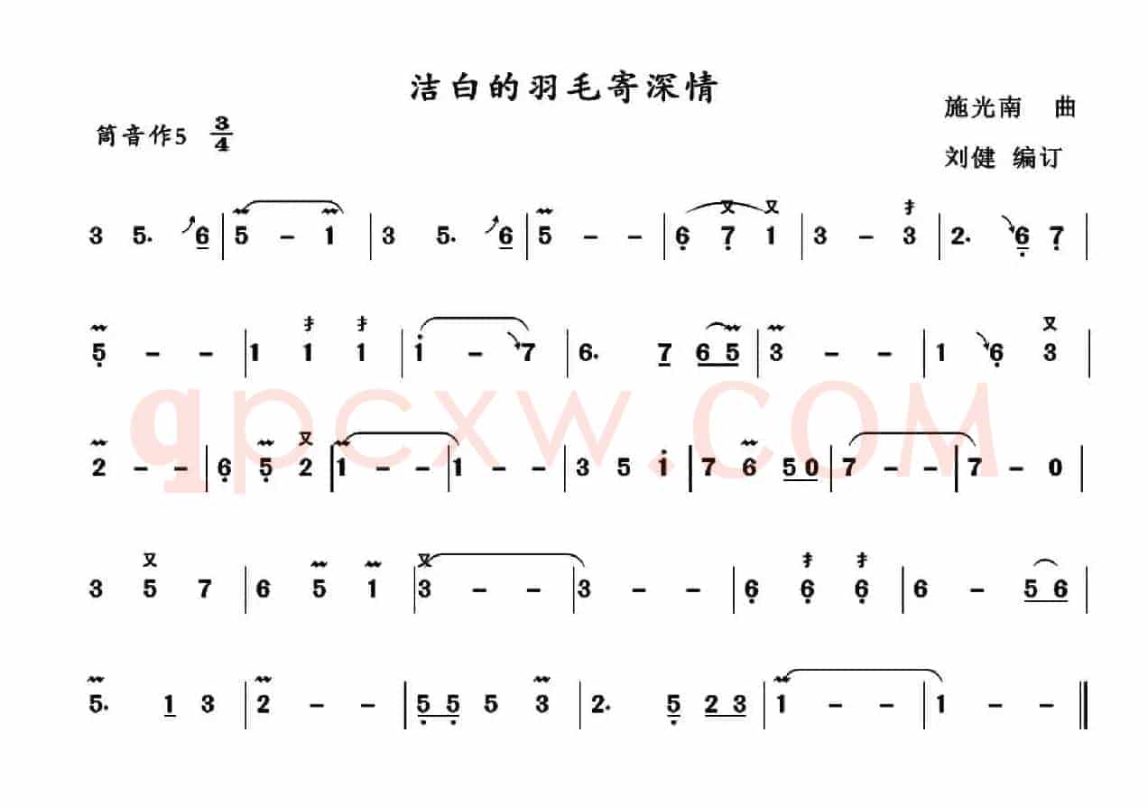 洁白的羽毛寄深情