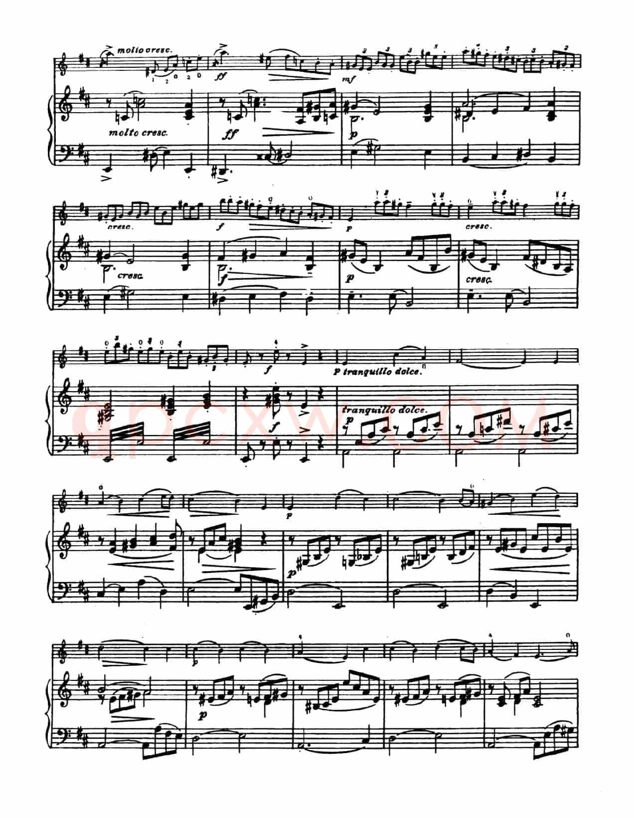 D大调学生协奏曲（塞茨作品第14号）