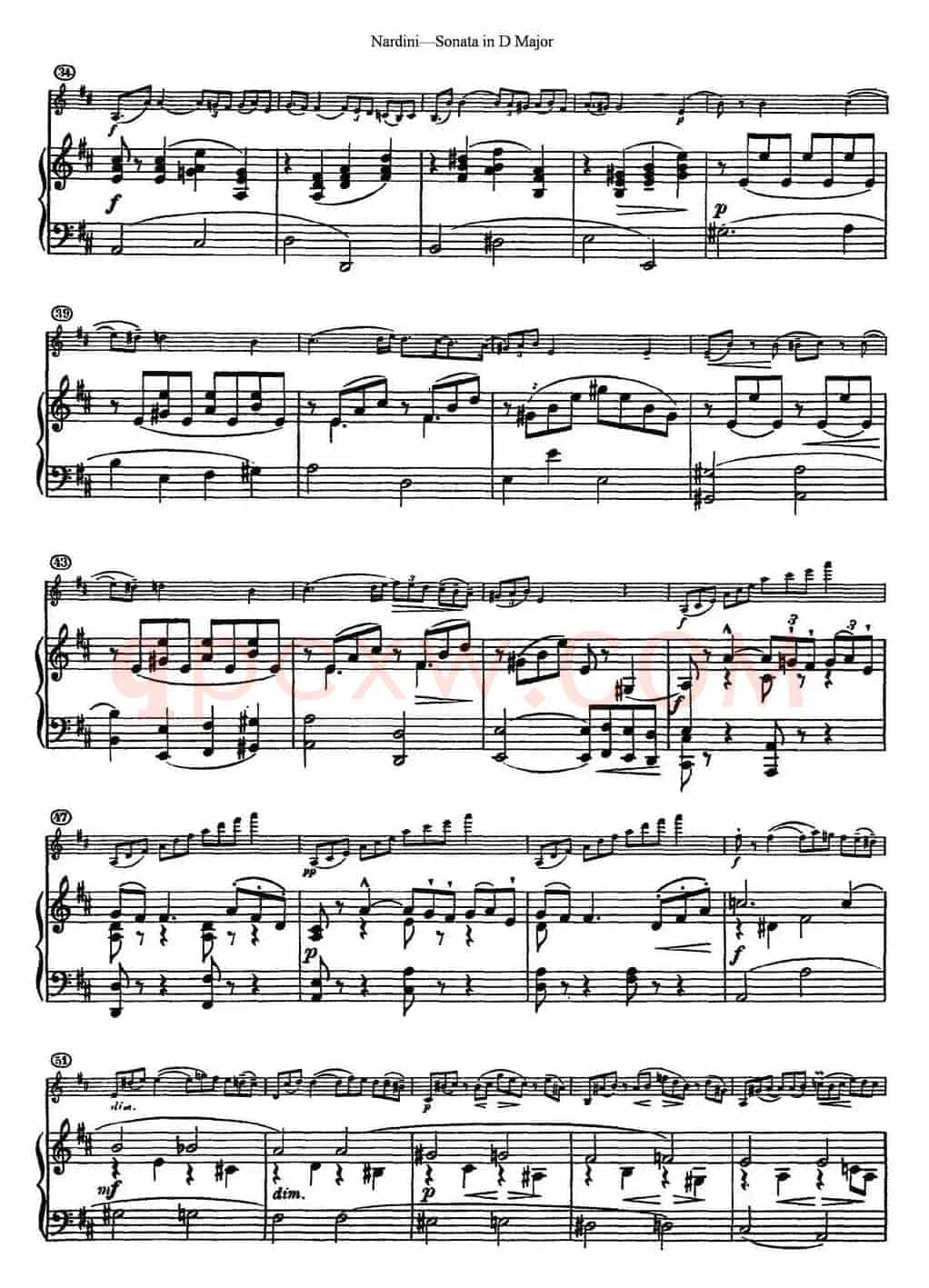 Nardini Violin Sonata in D Major（小提琴+钢琴伴奏）
