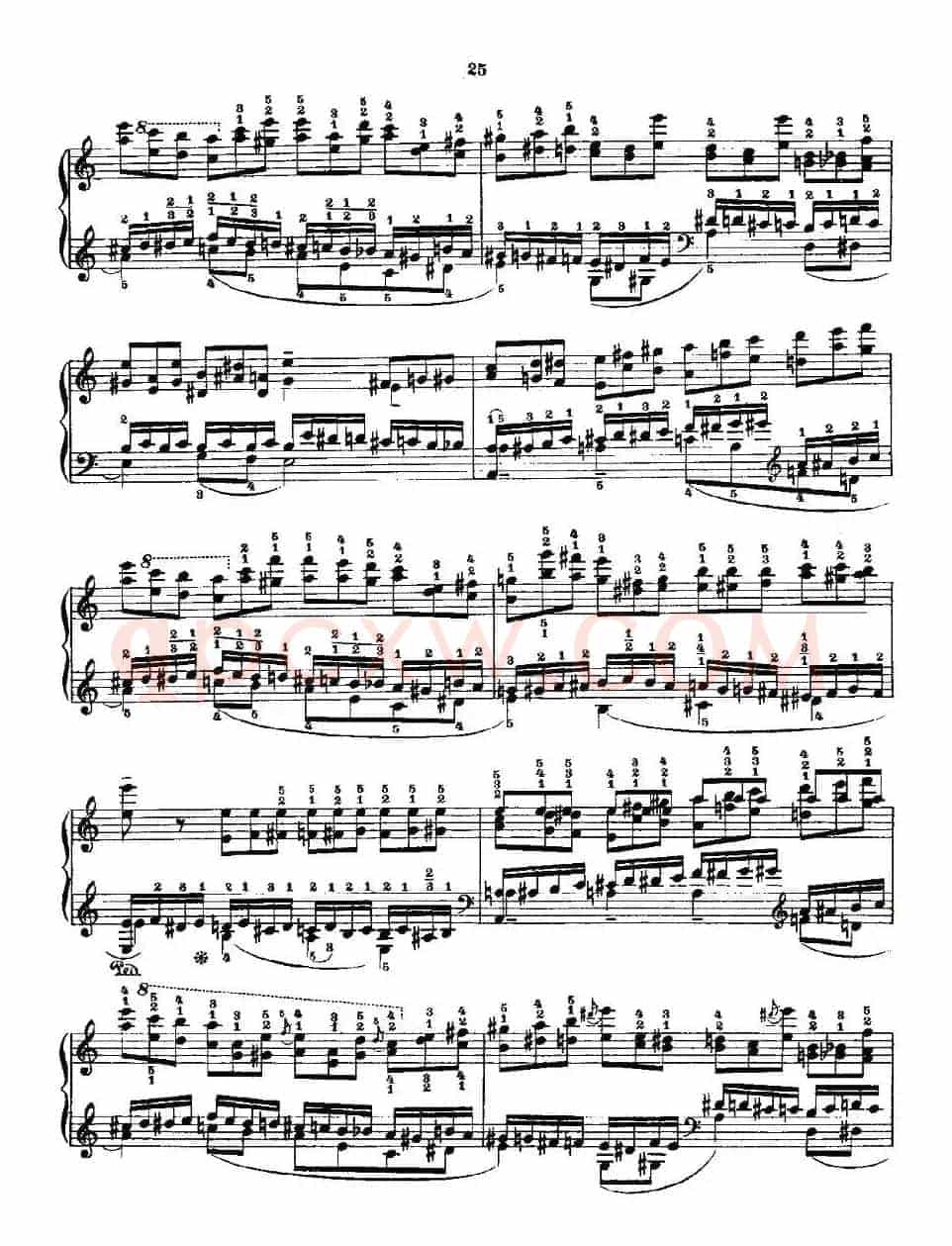 肖邦《练习曲》Fr.Chopin Op.10 No2-2