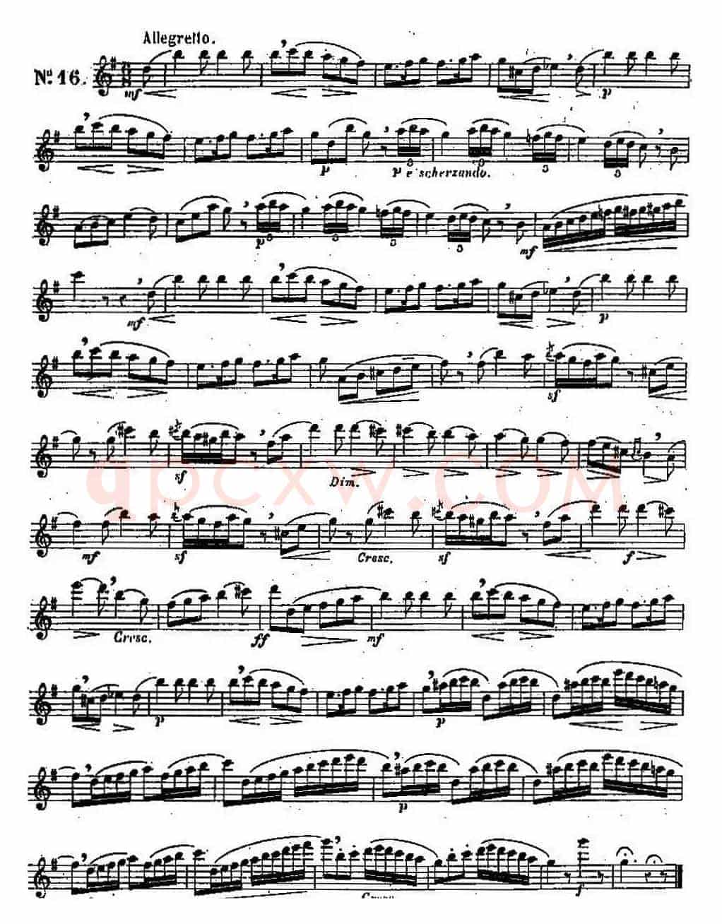 二十首练习曲作品131号（NO.16）