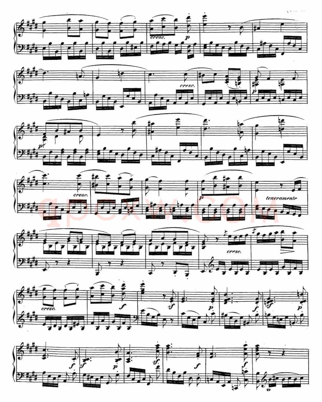贝多芬钢琴奏鸣曲27 e小调 Op.90 E minor