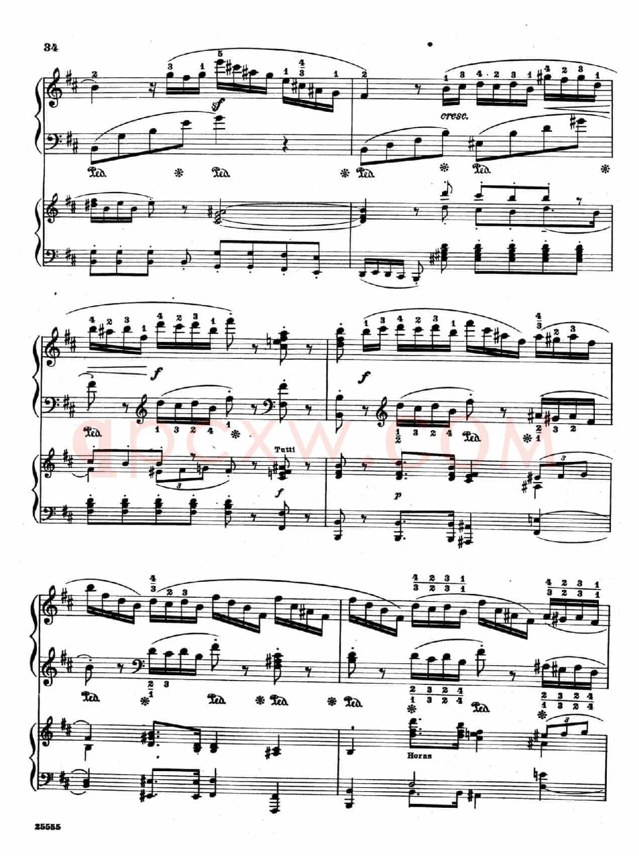 Capriccio Brillante in B Major Op.22(B大调华丽随想曲·双钢琴)