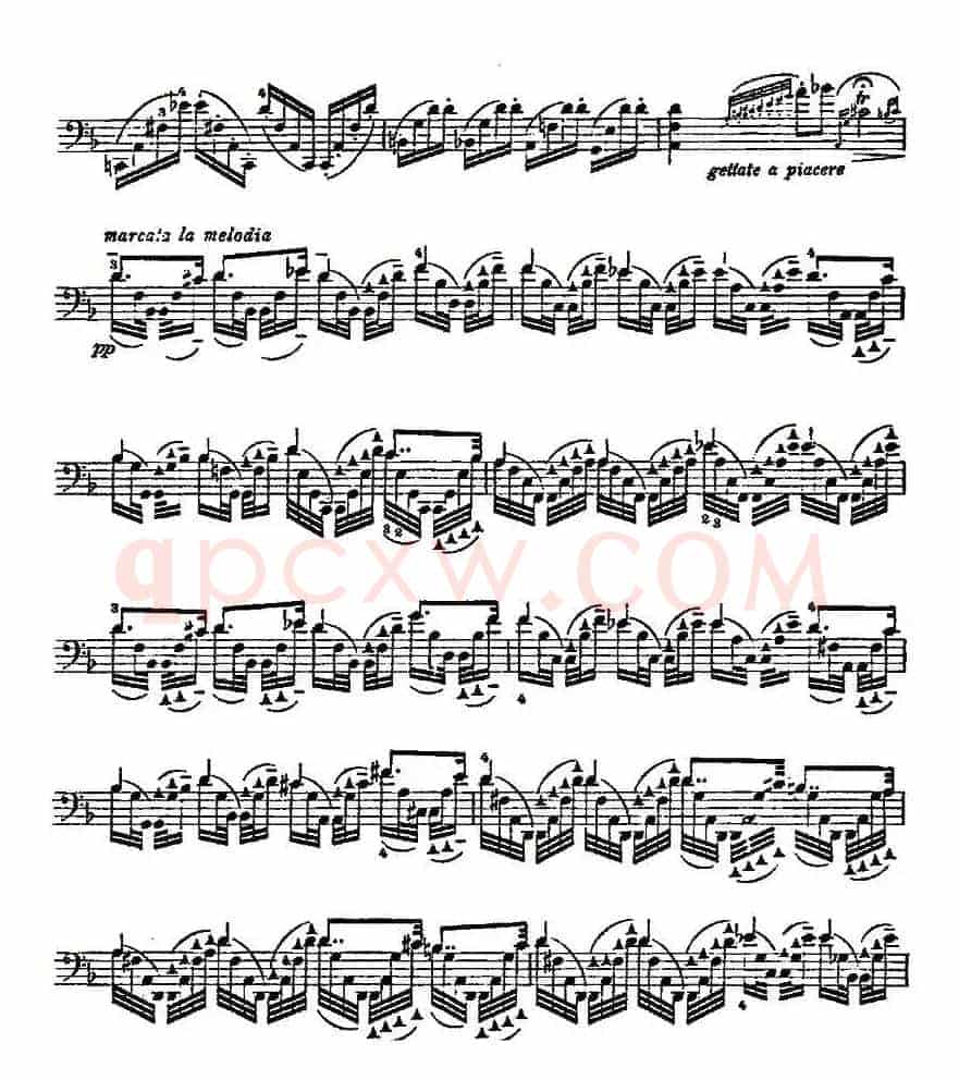 PIATTI 12 Caprices 之5（大提琴）