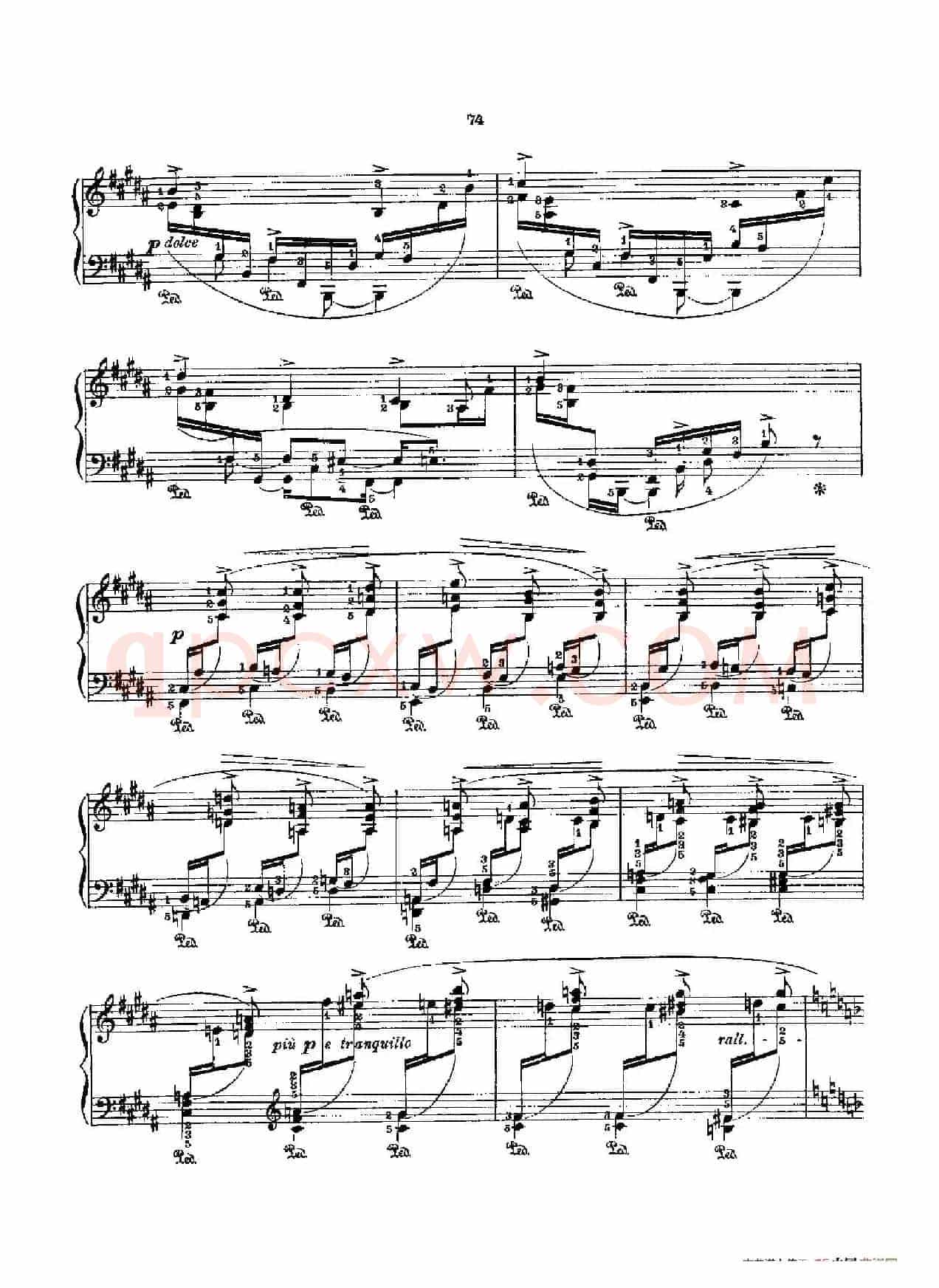 53首以肖邦练习曲为素材而作的练习曲（No.30）